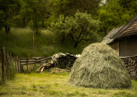 „Ukmergės vyrukai“ dalyvavo seniausiame Lietuvoje tradiciniame...