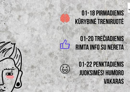 VšĮ Jaunimo laisvalaikio centro...