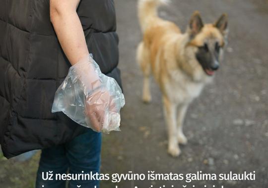 Organizuos reidus ir stebės, ar...