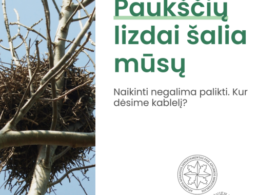 Vyks kariuomenės pratybos