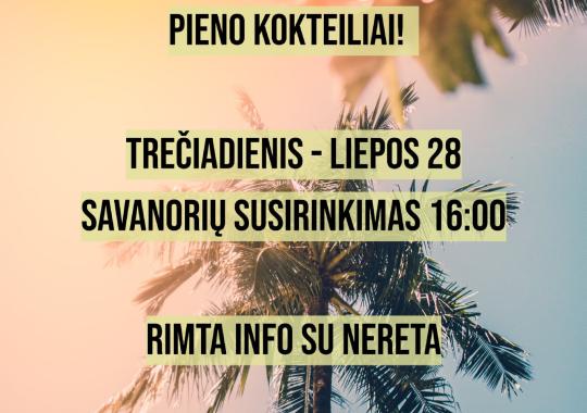 VšĮ Jaunimo laisvalaikio centro...