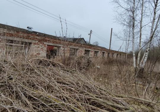 Ukmergės Kalėdų eglės įžiebimo šventė „Laikas Kalėdoms”