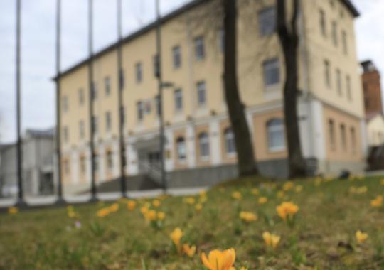 Velykiniame stalo teniso turnyre varžėsi daugiau nei 50 žaidėjų
