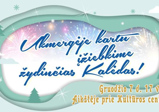 Skelbiamas elektromobilių įkrovimo prieigų įrengimo ir eksploatavimo...