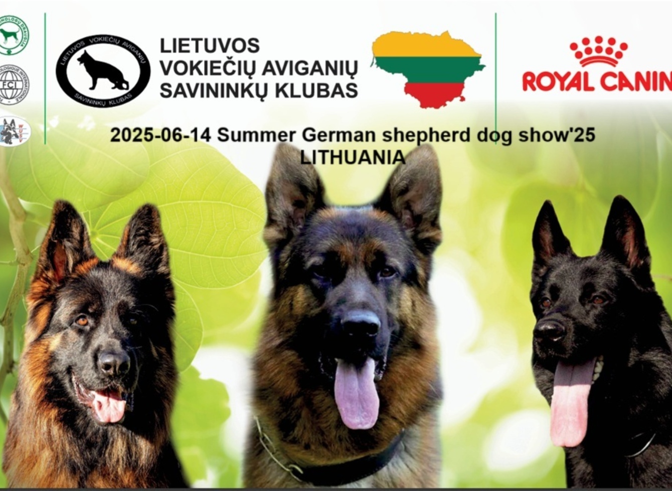Specializuota vokiečių aviganių paroda