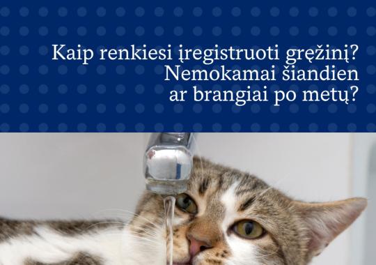 Ukmergėje su komanda lankėsi Socialinės apsaugos ir darbo viceministrė