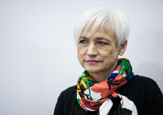 Mokymų ir tikslinių konsultacijų organizavimas krizinį nėštumą...