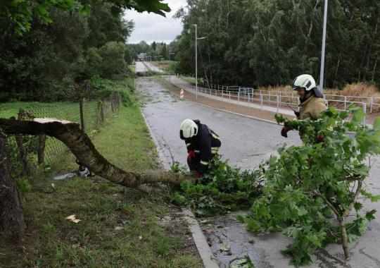 Paveldo dienoms skirtas renginys „Siesikų pilis: saugok, puoselėk,...