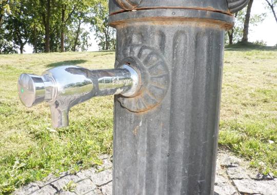 Iki rugsėjo 1 d. svarbu nušienauti pievas