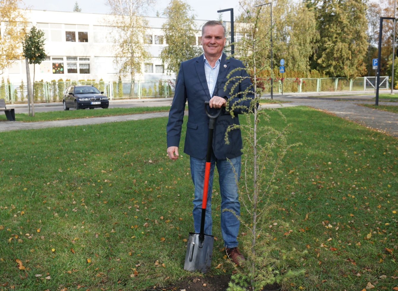 Vietos savivaldos dienos proga svere pasodinti maumedžiai 