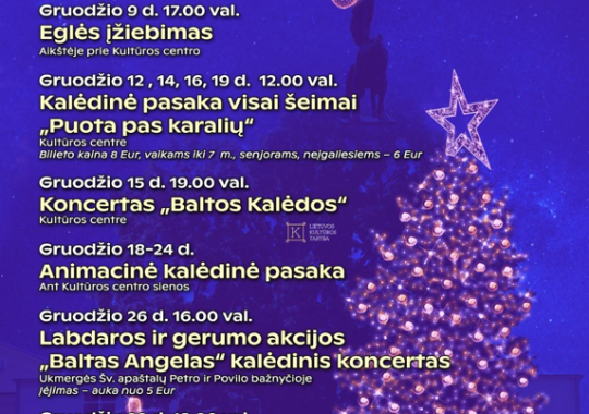 Ukmergės rajone vyks karinės pratybos