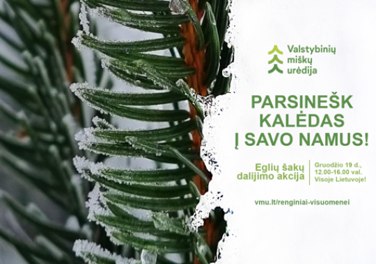 100-mečio ukmergiškio ilgaamžiškumo paslaptis: didelė meilė sau