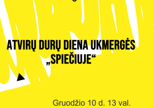 Vieno buto gyvenamojo namo dalies patalpų pritaikymo paslaugų...
