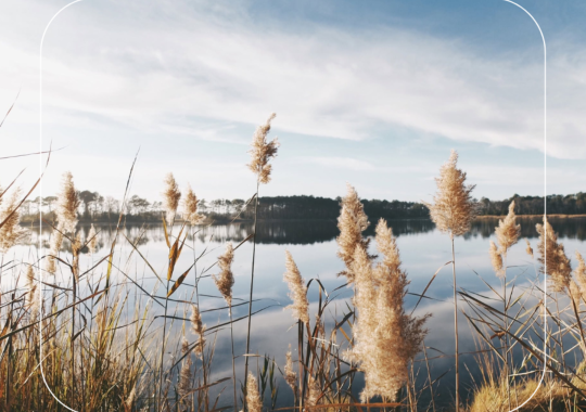 Pagalba vaikams su negalia Lietuvoje