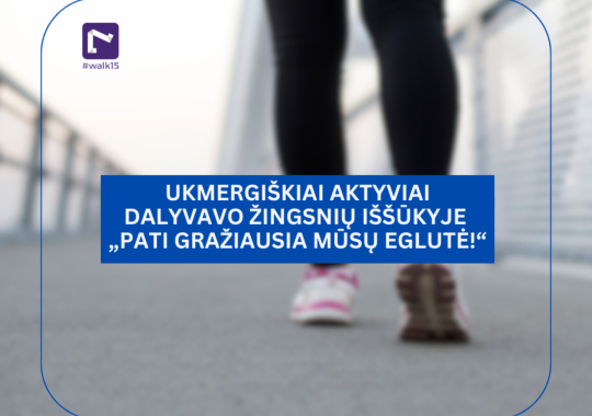 Sniego valymo darbai mieste ir rajone vyko sklandžiai