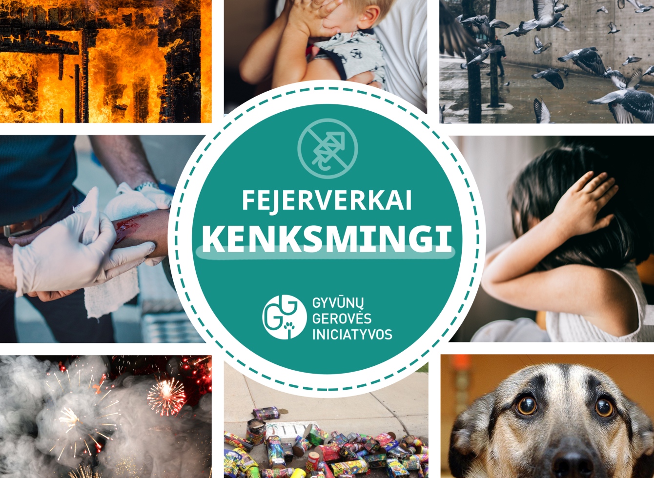 Atsisakykite „pramogų” su fejerverkais 