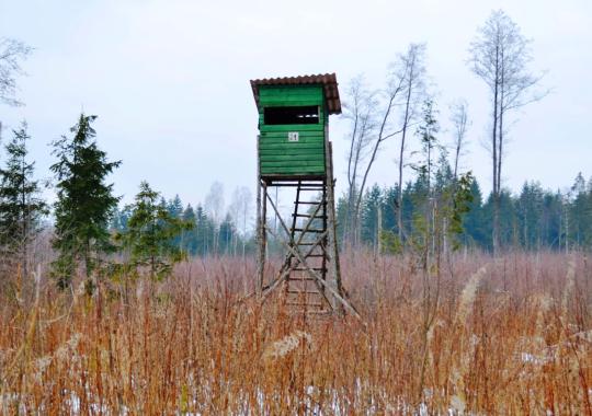 Ukmergės rajono savivaldybė – tarp „Auksinių krivūlių“ laureačių:...