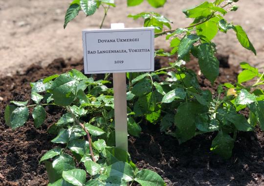 Ukmergės miestą gaivins naujasis fontanas  
