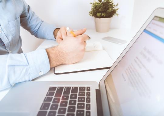 Žemės ūkio naudmenų ir pasėlių deklaravimas: naudingos informacijos per...