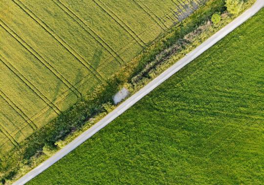 Patvirtintos 2023–2027 m. susietosios paramos už pienines karves taisyklės