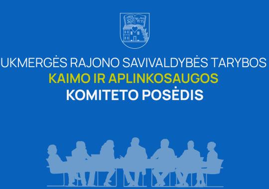 Skelbiamas papildomas „Kūrybiškos Europos“ paprogramių kofinansavimo...