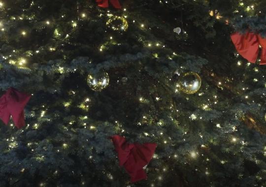 Sveikinimai šv. Kalėdų ir artėjančių Naujųjų metų proga