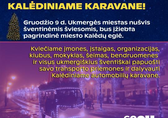 Tarptautinė savanorių diena