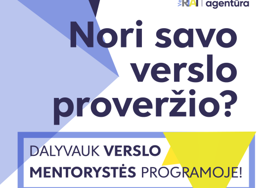 Mentorystės programa