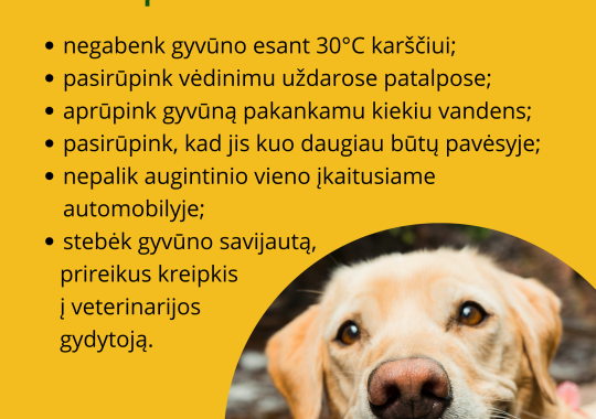 Birželio 21-24 d. duomenys