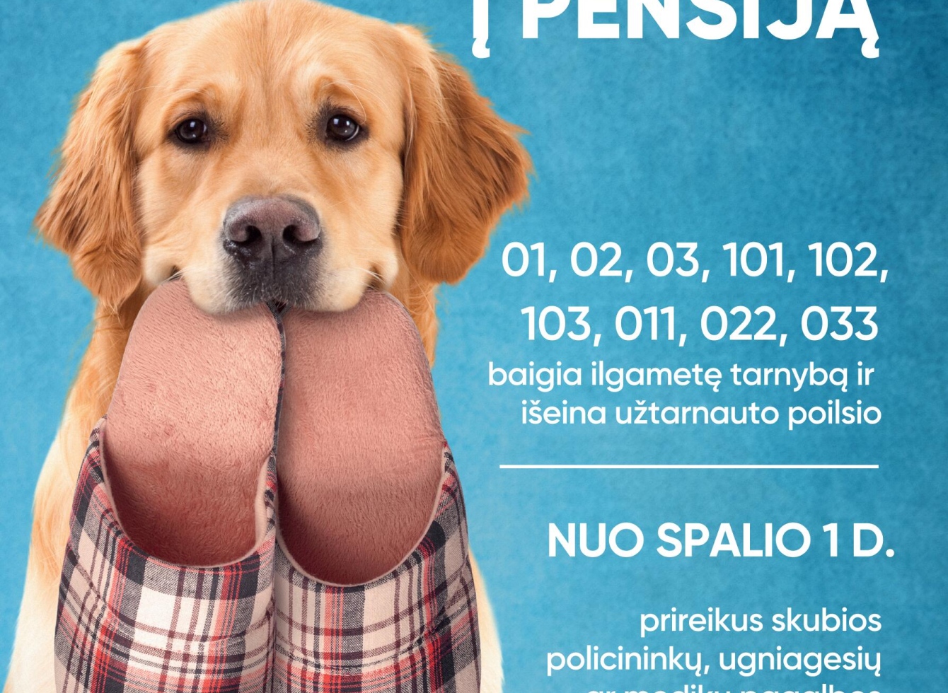 Skubios pagalbos prašymams Lietuvoje liks tik vienas skubiosios pagalbos telefono ryšio numeris – 112
