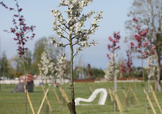Ukmergėje aptartos tarptautinės karinės pratybos „Geležinis Vilkas 2025-I“