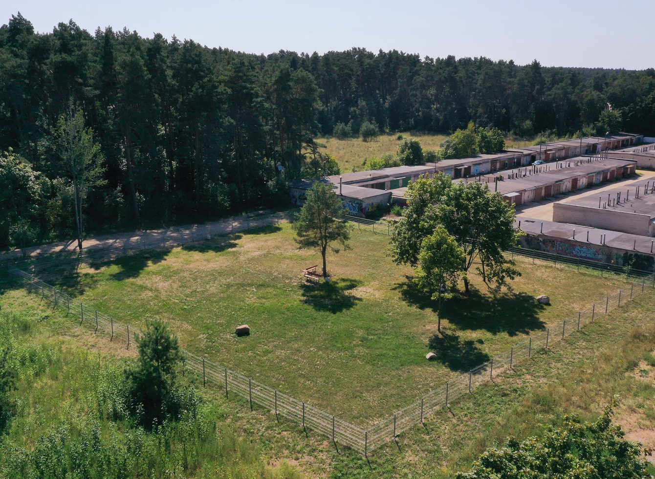 Naujoji šunų vedžiojimo aikštelė