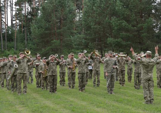 Sveikinimas Valstybės (Lietuvos karaliaus Mindaugo karūnavimo) dienos proga