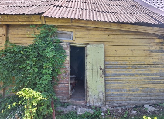 Asociatyvi nuotrauka