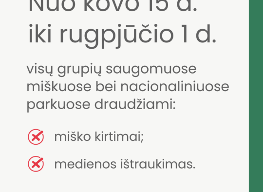 Paukščiai peri - saugokime lizdus