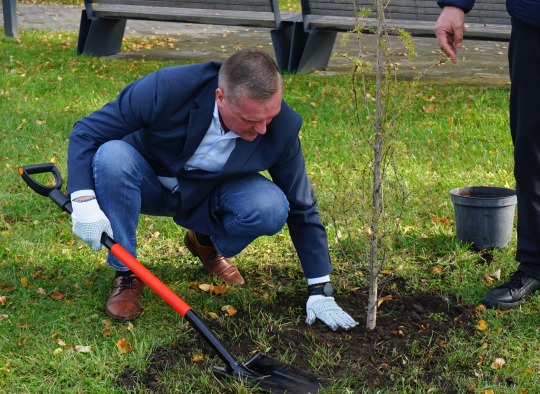 Vietos savivaldos dienos proga svere pasodinti maumedžiai 