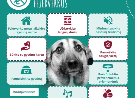 Atsisakykite „pramogų” su fejerverkais 