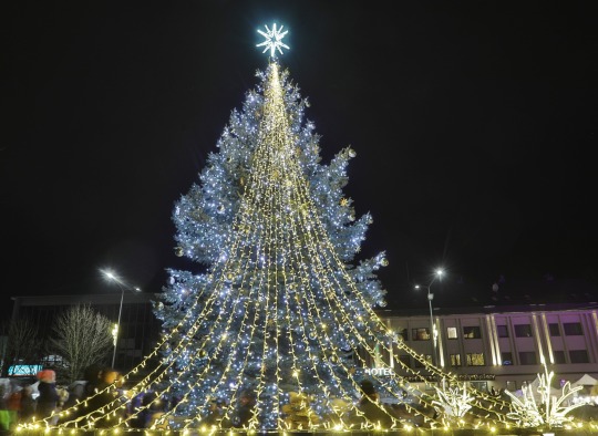 Kalėdų eglutės įžiebimo akimirkos