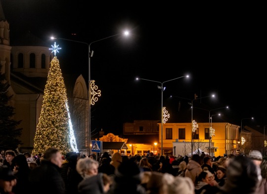 Kalėdų eglės įžiebimo akimirkos