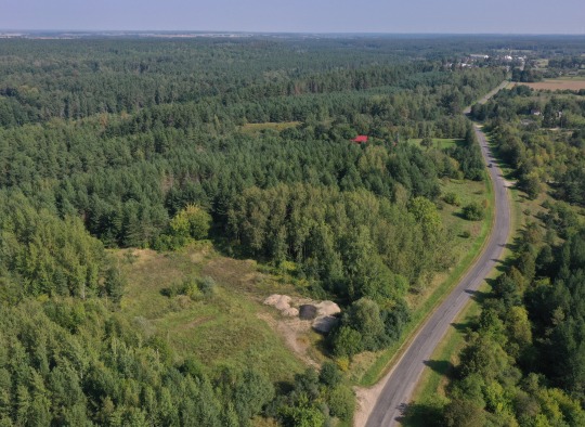 Jogvilų kaime (Lyduokių sen.)  apie 0,9 ha dydžio laisvos valstybinės žemės sklype bus įsteigtos naminių gyvūnų augintinių kapinės
