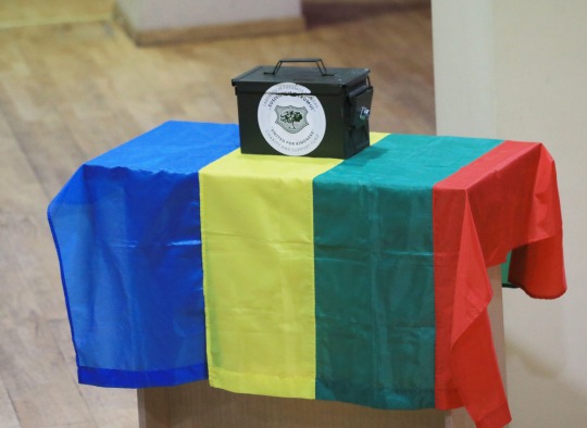 Ukrainos ir Lietuvos vėliavos