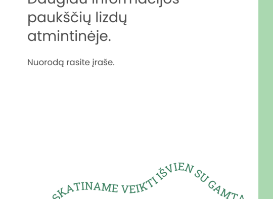 Asociatyvi nuotrauka