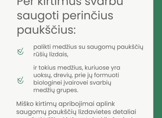 Paukščiai peri - saugokime lizdus