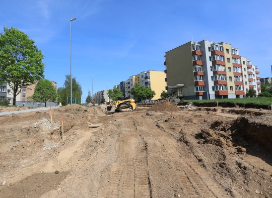Tvarkomos Jaunimo ir Miškų gatvės