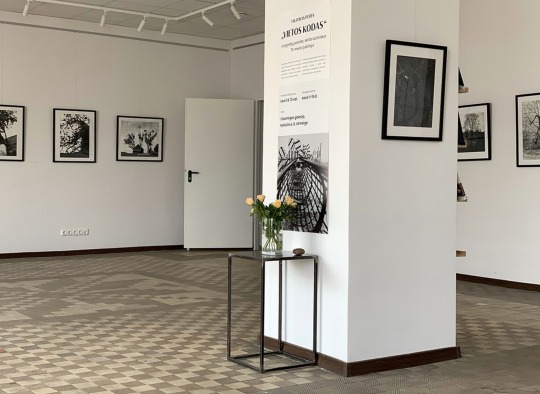 „Vilkamirgės“ galerijoje -  fotografijų paroda „Vietos kodas“