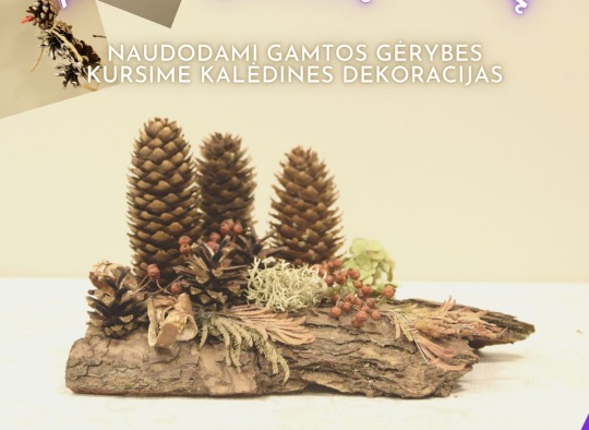 Kalėdiniai renginiai Ukmergėje