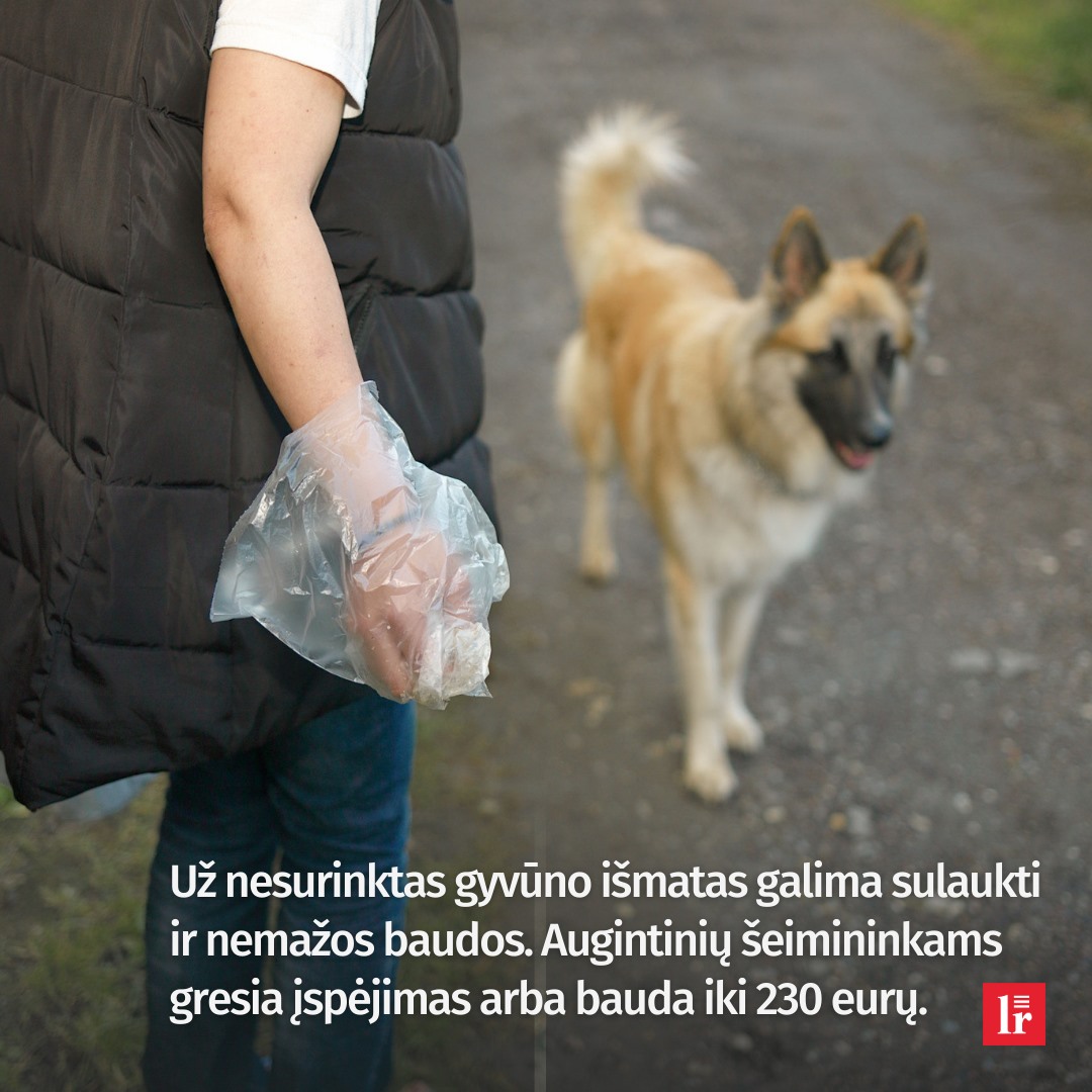 Dėl šunų vedžiojimo taisyklių