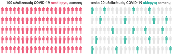 3 pav.