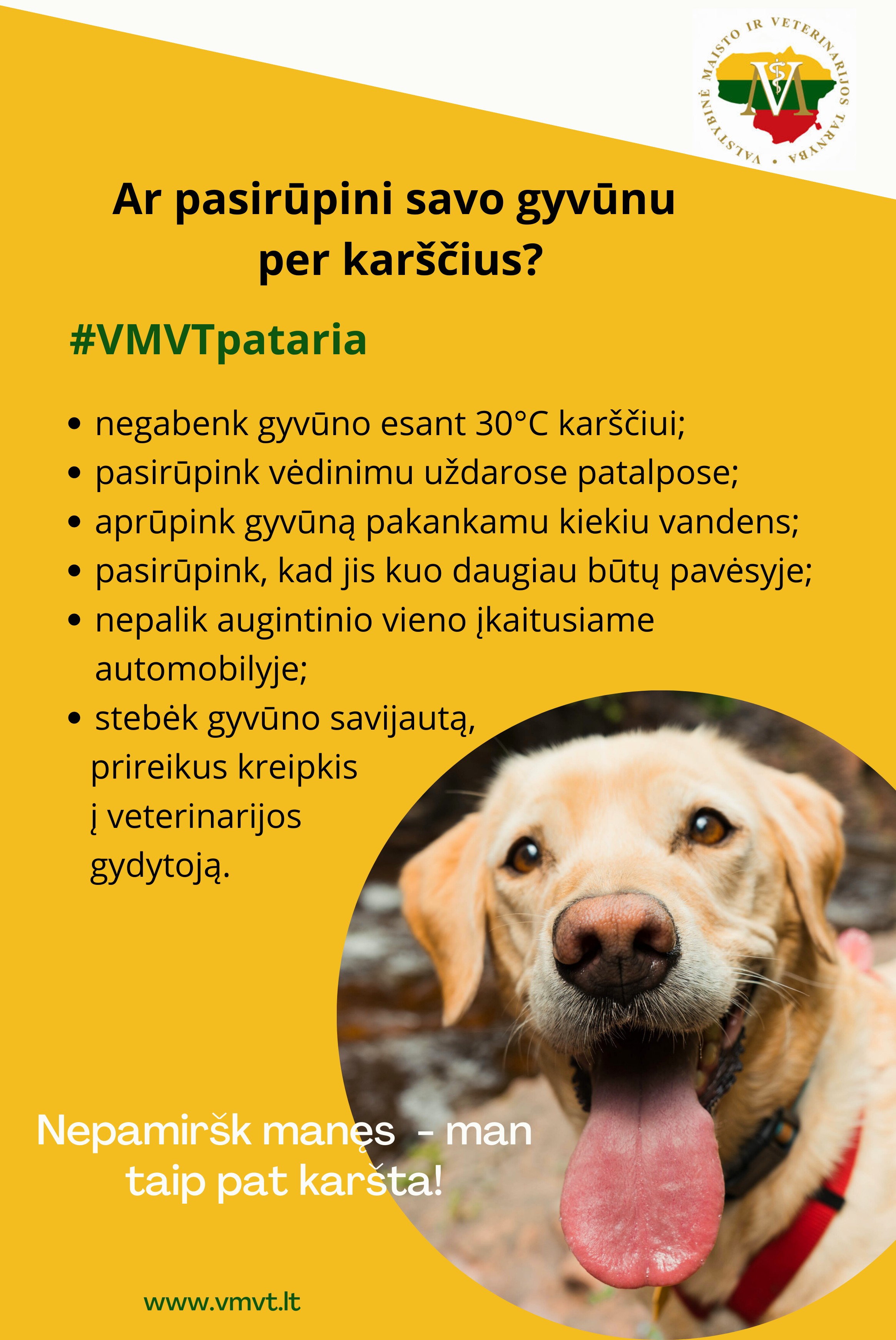 Pasirūpink savo gyvūnu per karščius