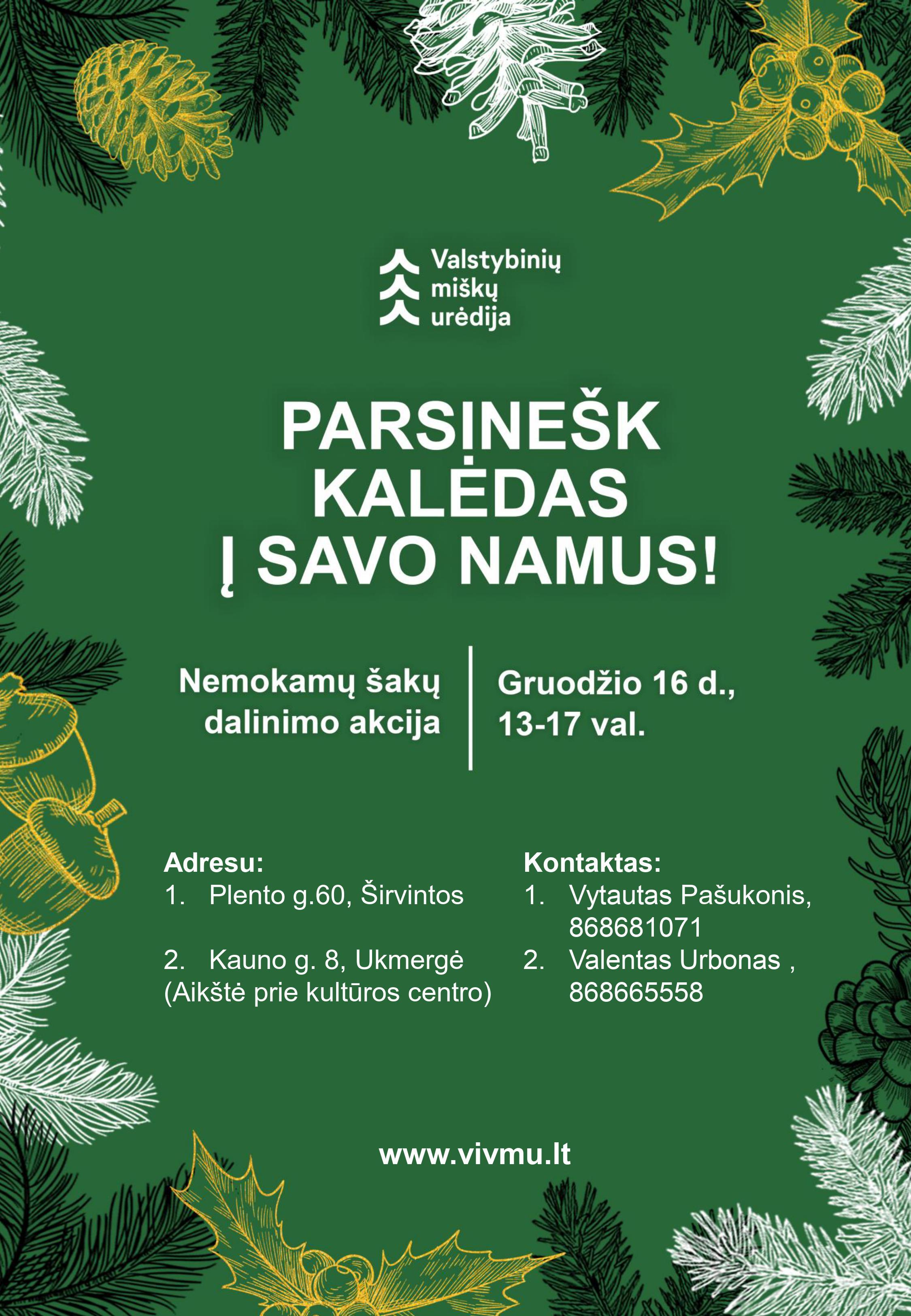 Dalinamos eglišakės
